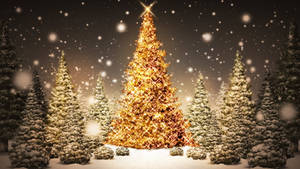 Árboles de Navidad Brillantes y Hermosos — Hermosa Navidad Fondos de pantalla