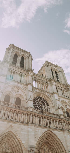 Catedral de Notre Dame — Redmi Note 15 Special Fondos de pantalla