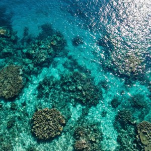 Vista aérea del océano turquesa con arrecifes de coral. — Océano Fondos de pantalla