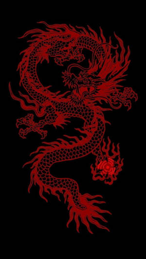 Arte de Dragón Japonés Contorno Rojo Neón — Dragón japonés Fondos de pantalla