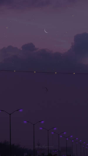 Arte de Luz Callejera Estética Púrpura Oscuro — Morado aesthetic GIF Fondos de pantalla