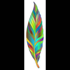 Arte de Plumas Coloridas
