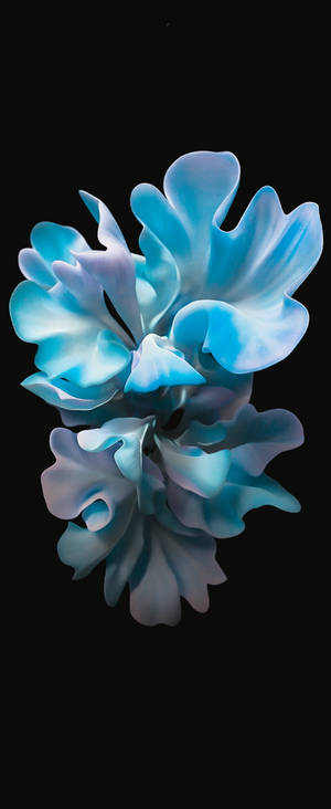 Arte de Flor Azul para Samsung S20 FE — Galaxy Z Fold 6 Fondos de pantalla