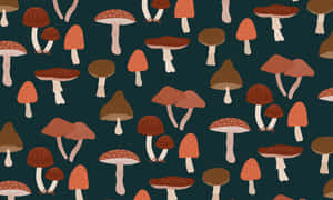 Arte vintage de patrón de hongos lindos — Estética de hongos Fondos de pantalla