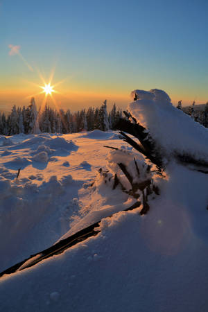 Fondo de pantalla de atardecer en invierno