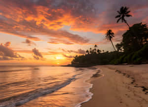 Atardecer, Fotos estéticas de atardecer, Fondo estético de atardecer, Fotos estéticas de playa, Naturaleza, Naturaleza 4K, Fotos de naturaleza 4K, Estética de atardecer, Fondo de mar, Mar, Fotos de playa de mar