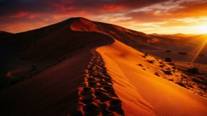 Duna desértica dramática con cálidos colores de atardecer y sombras alargadas para iPad. — iPad Fondos de pantalla