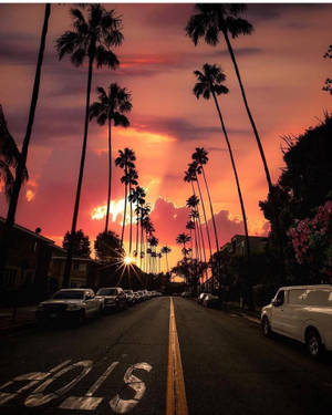 Fondo de pantalla de atardecer en Sunset Boulevard con cielo naranja brillante