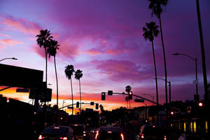 Fondo de pantalla de atardecer en Sunset Boulevard con cielo púrpura