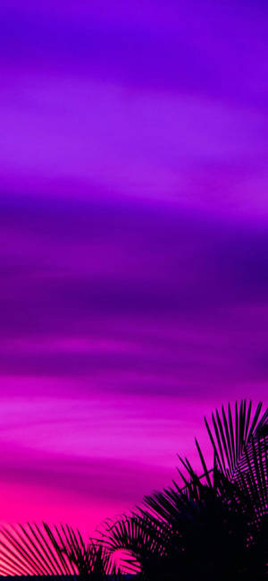 Atardecer Estético Morado para Teléfono — iPhone 17 Fondos de pantalla