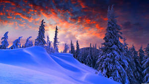 Fondo de pantalla de Atardecer Invernal Escénico