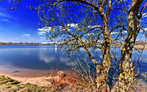 Fondo de pantalla de Atractivo Lago Natural