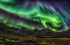 Imágenes de Estética Verde Oscuro — MacBook Pro 16 Fondos de pantalla