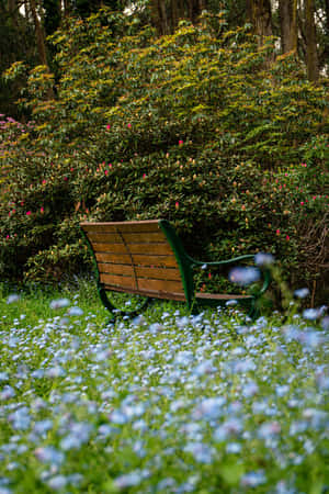 Banco de Parque con Flores Azules para Teléfono — Flores Fondos de pantalla