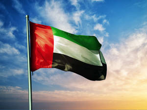 Bandera de los EAU