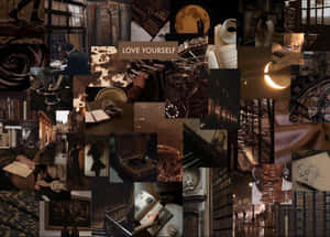 Biblioteca Estética Academia Oscura — Estética dark academia Fondos de pantalla