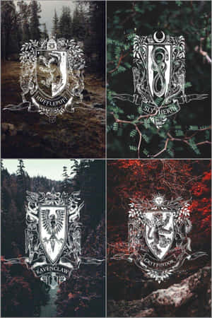 Imágenes estéticas de Harry Potter — Estética de Harry Potter Fondos de pantalla