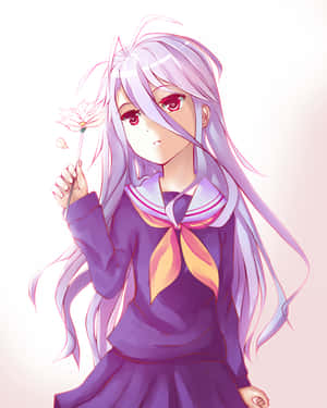 Fondo de No Game No Life