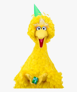 Fondo de pantalla de Big Bird Feliz Cumpleaños — Apple Watch Fondos de pantalla