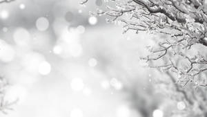 Fondo de pantalla de Blanca Navidad en Invierno