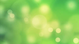 Bokeh Verde Claro Completo — Estética verde GIF Fondos de pantalla