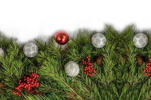 Bolas navideñas simples en pino — Estética Simple Fondos de pantalla