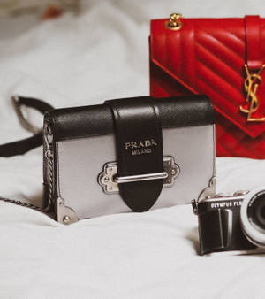 Fondo de pantalla de bolsas Prada y YSL — Motorola Razr Fold Fondos de pantalla