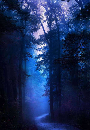 Bosque Oscuro iPad 2021 — Bosque oscuro Fondos de pantalla