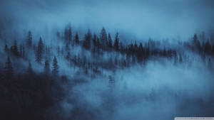 Bosque con Niebla Estética Azul Oscuro HD — Azul oscuro estético Fondos de pantalla