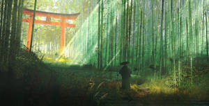 Bosque de Bambú Arashiyama 4K Kioto — Japón GIF Fondos de pantalla