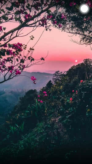 Naturaleza estética para teléfono