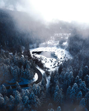 Fondo de pantalla de bosque invernal y lago