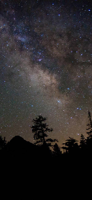 Bosque Montañoso Galaxia Bonita — iPhone 12 Fondos de pantalla