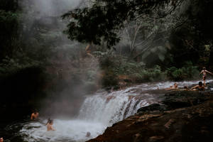 Bosque Neblinoso con Cascadas