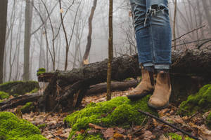 Bosque Neblinoso Botas Marrones Roca Musgo
