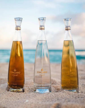 Botella de Cincoro Tequila en la playa — Playa Fondos de pantalla