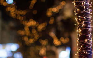 Fotos de Luces Navideñas — Luces de Navidad Fondos de pantalla