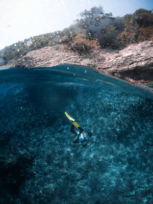 Buceo iPad Mini — iPad Mini Fondos de pantalla