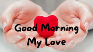 Buenos Días Mi Amor Corazón Manos — Buenos días mi amor Fondos de pantalla