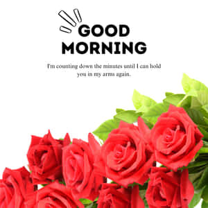 Buenos Días Mi Amor Mensaje de Cuenta Regresiva — Buenos días mi amor Fondos de pantalla