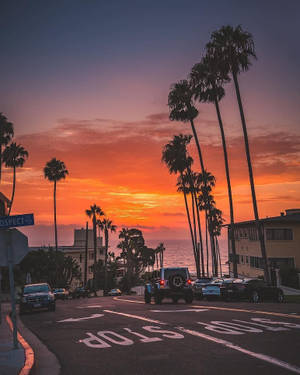 Fondo de pantalla del Bulevar del Atardecer Naranja