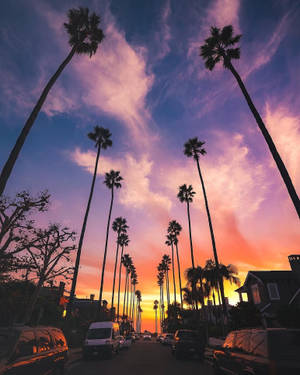 Fondo de pantalla del Bulevar del Atardecer Estético
