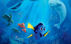 Buscando a Dory y Nemo Disney 4K Ultra Wide — Estético caricatura Fondos de pantalla