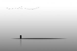 Fondo de pantalla minimalista de cabina telefónica