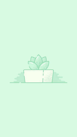 Cactus estético verde menta — Estética verde GIF Fondos de pantalla