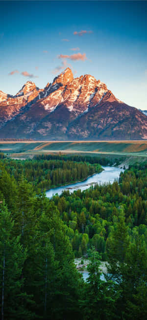 4K Naturaleza iPhone