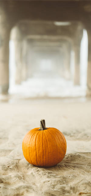 Calabaza en Arena, un Fondo de Acción de Gracias para iPhone — iPhone 17 Pro Max Fondos de pantalla