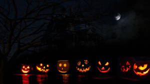 Calabazas de Halloween lindas y estéticas — Estética linda de halloween Fondos de pantalla