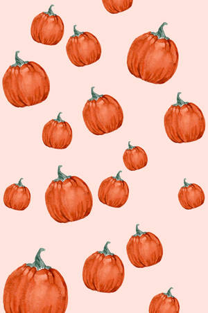 Fondo de pantalla de Calabazas de Melocotón Otoñales y Lindas — Otoño lindo Fondos de pantalla
