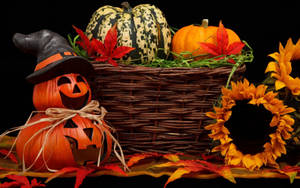 Calabazas y Flores de Halloween Estéticas y Tiernas — Estética linda de halloween Fondos de pantalla